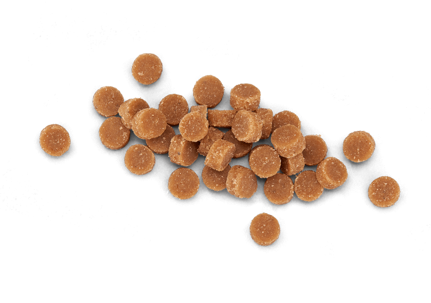 Tiki Cat - Soft & Chewy - Tuna Recipe (For Cats)